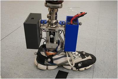 Sagittal and transverse ankle angle coupling can influence prosthetic socket transverse plane moments